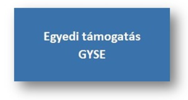 Egyedi támogatás - GYSE